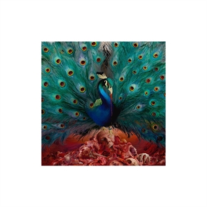 OPETH - Sorceress, CD